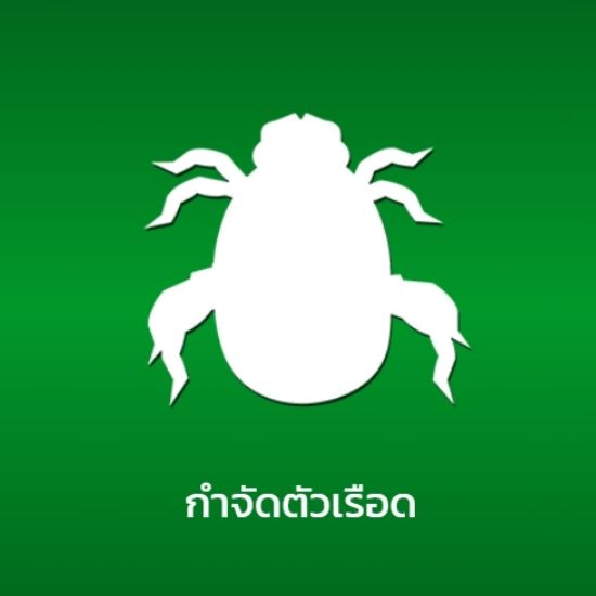 กำจัดตัวเรือด