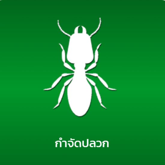 กำจัดปลวก_0