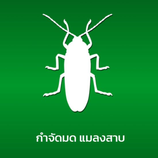 กำจัดมดแมลงสาบ