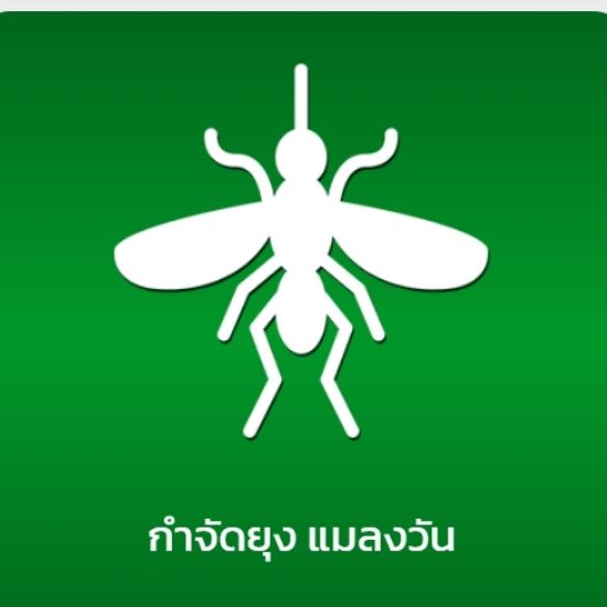 กำจัดยุงแมลงวัน