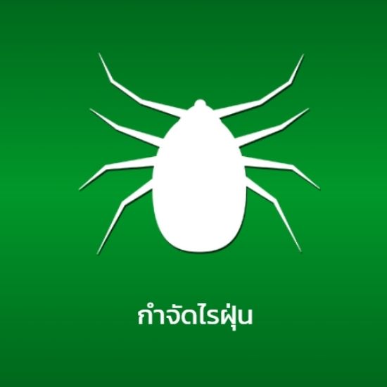 กำจัดไรฝุ่น