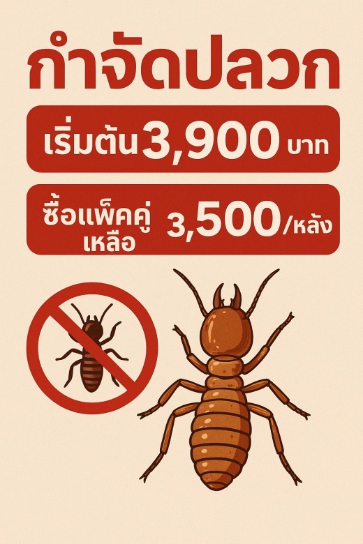 Image - 2025-11-05T093559.271